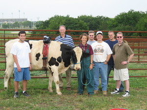 Picture of research group with cow.
