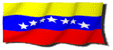 Venezuelan flag