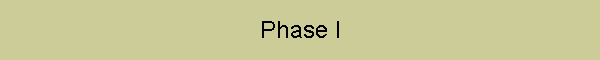 Phase I